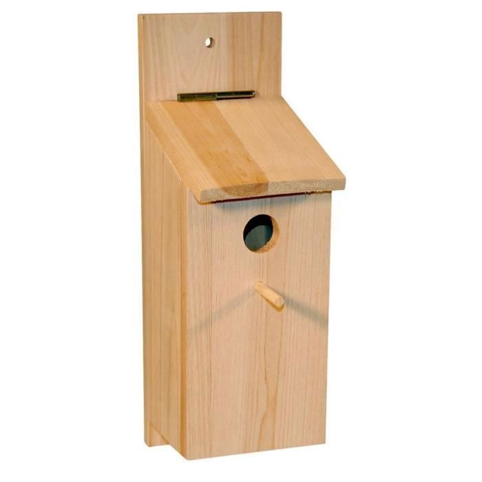 Oiseau Bois MINISOISO 16 Pièce Kits Bricolage Oiseaux 3D En Bois, Bricolage Oiseaux Carillon à Vent Artisanat, DIY Loisirs Créatifs Pour Enfants, Oiseaux Bois Pour Garçon Fille Cadeau Anniversaire Jouet Fête Cabane