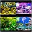 Hengda LED aquarium sous-marin RGB lumière d'aquarium éclairage au clair de lune coquillages 62cm-3