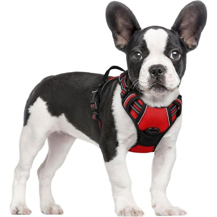 Meilleurs prix pour Harnais Chien Anti Traction Rouge XS Harnais Chien avec Poignée Facile à Mettre Gilet Réglable Réfléchissant pour Petit Chien