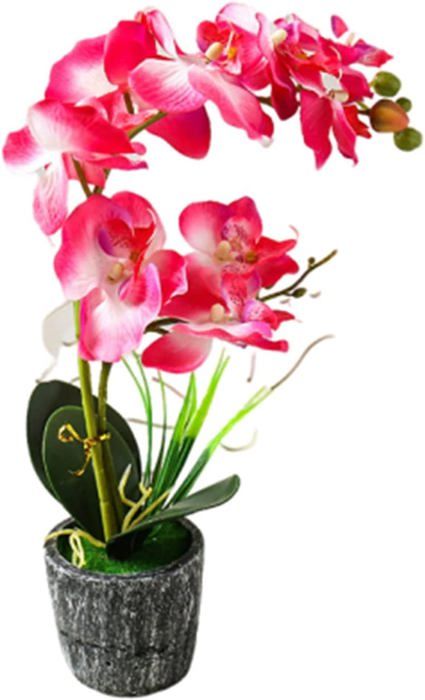 Orchidée Artificielle Phalaenopsis En Pot - Décoration 3D Réaliste, Rouge, Dimensions 30x16x16 Cm