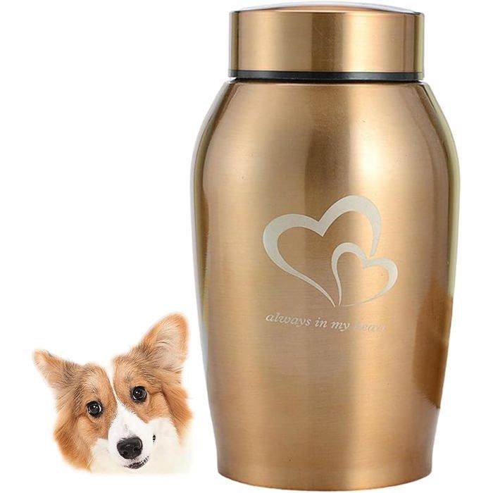 Meilleurs prix pour Urne souvenir Urne pour animaux de compagnie Urnes funéraires pour chiens et chats Urne commémorative en acier inoxydable Urne Gold