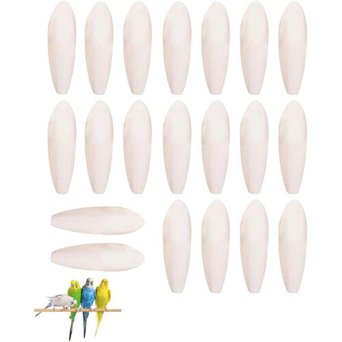 Lot de 20pcs de Seiche 4~5 cm pour Oiseaux Tortues Reptiles Jouets à Mâcher Naturels pour Perroquets Calmars et Animaux KIT JOUET