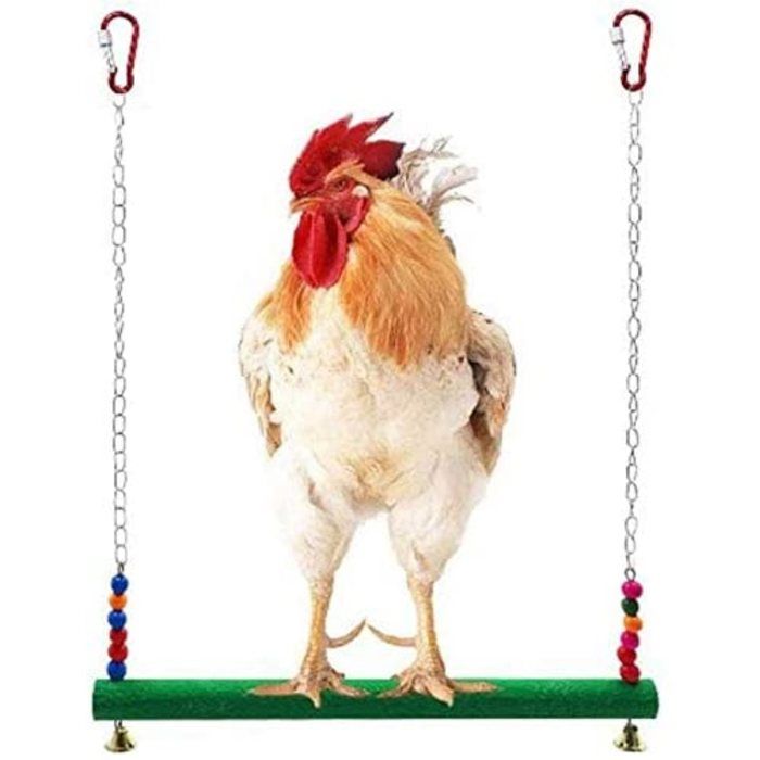 Balançoire pour poules - Jouets pour poules - Jouet pour oiseaux perroquets aras poules - Échelle de balançoire - Pour poules et