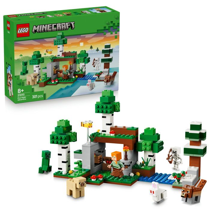 LEGO Minecraft L’aventure de la Première Nuit 21593 - vue 3