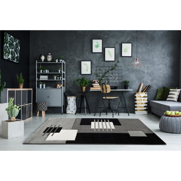 Tapis Salon trendy gris [160x230 cm] - Cdiscount Maison
