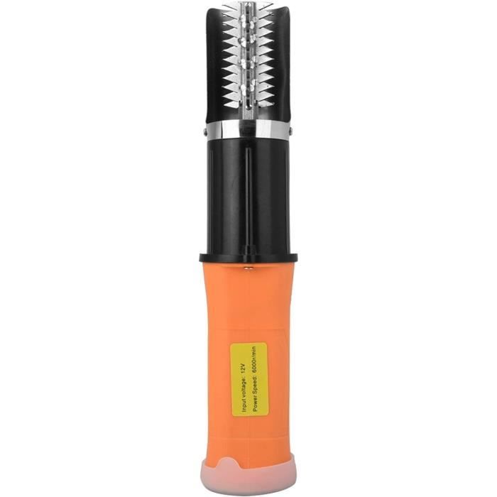 Écailleur Poisson Électrique TAZZOR Rechargeable Étanche - Grattoir Écailles Intelligent Écailleur Poisson Électrique TAZZOR Rechargeable Étanche - Grattoir Écailles Intelligent