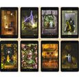 Le Tarot Vision - Jeu de 78 cartes - Cartes de voyance avec explication complète des 78 lames (livret en FR) - Jeu divinatoire-0