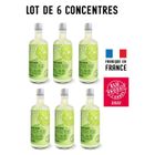 MY SODA MYSODA - Lot de 6 Concentrés saveur Citron Vert 685ml