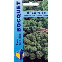 Sachet de  Chou frisé vert demi nain (Chou Kale) - 3 g - légume feuille - LES GRAINES BOCQUET