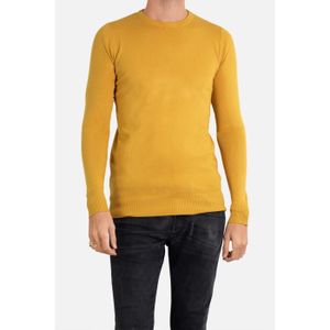 PULL Pull manches longues col rond Jaune Homme