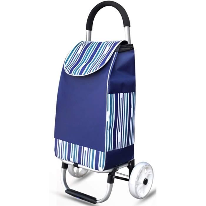 chariot de courses avec cadre en aluminium, sac en toile imperméable amovible, caddie
