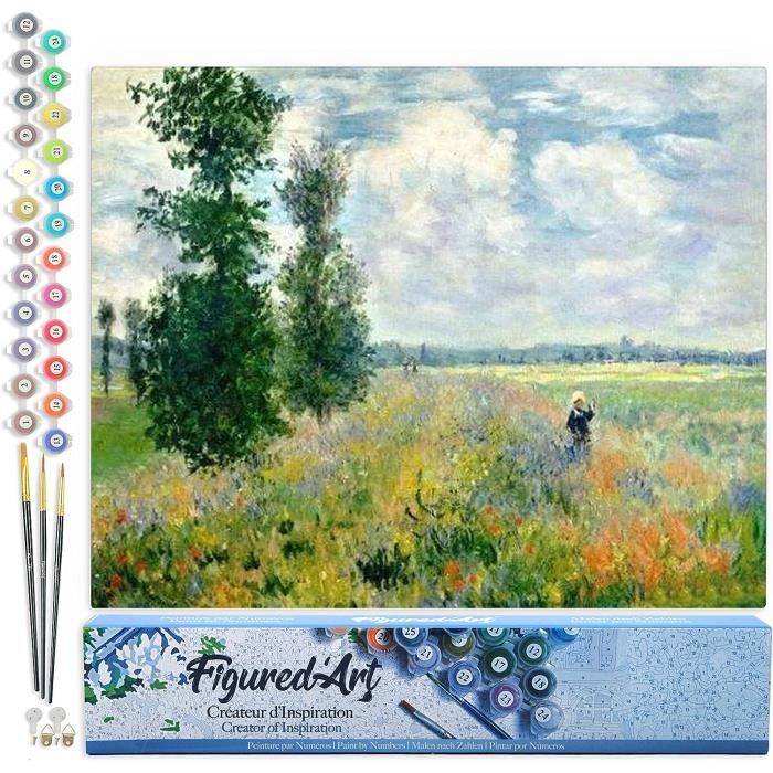 Peinture Numero Adulte Par Bricolage Loisirs Créatifs