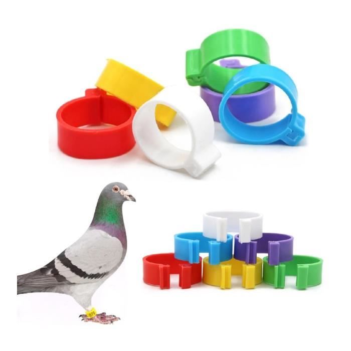 FAS Anneaux de pied de poulet Boucle de jambe d'identification d'anneaux de pied de volaille de