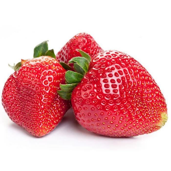 Graines de fraises-1000Pcs -Non-OGM, taux de survie élevé, forte vitalité