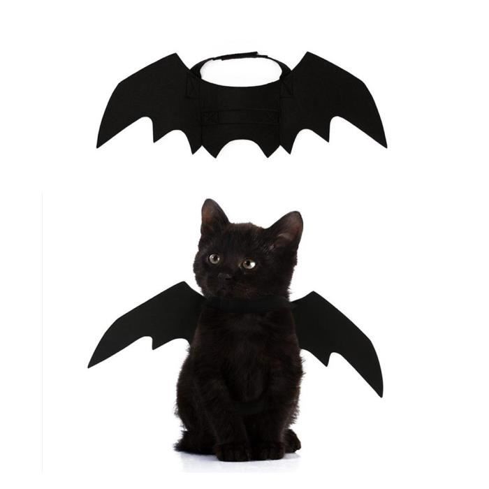 Halloween Chauve Souris Noire Dress Up Costume Pour Les Chats Et Les Chiens Cdiscount