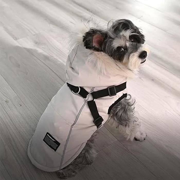 Harnais best sale manteau chien