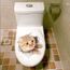 Home Decor Sticker 3d Autocollant Chat Chien Decoration Salle Bain Wc Poster Mural Maison Home Garden Chaire Innov Dev Regional Hec Ca