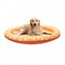 Version Orange 14096cm Chien Piscine Flotteur Pet Eau Jouet Flottant Rangee Lit Gonflable Plage Pour Chat 04 40 Achat Vente Bouee Brassard Cdiscount