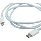 STRAßE TECH Câble Adaptateur Connectique USB-C Mâle Vers 8 Broches iPhone iPod iPad 1M