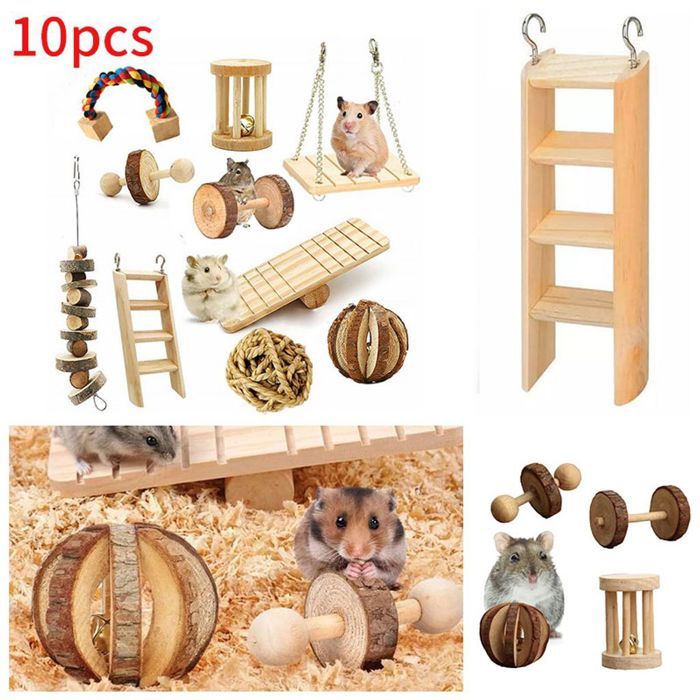 Lot de 10 jouets à mâcher pour rat cochon dInde chinchilla hamster haltères balle petits animaux jouet dexercice