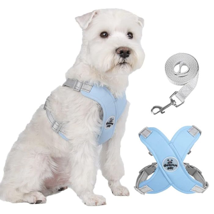 Harnais pour chien Pet X Frame anti-traction avec laisse étrangleur réfléchissant réglable et gilet rembourré (bleu)