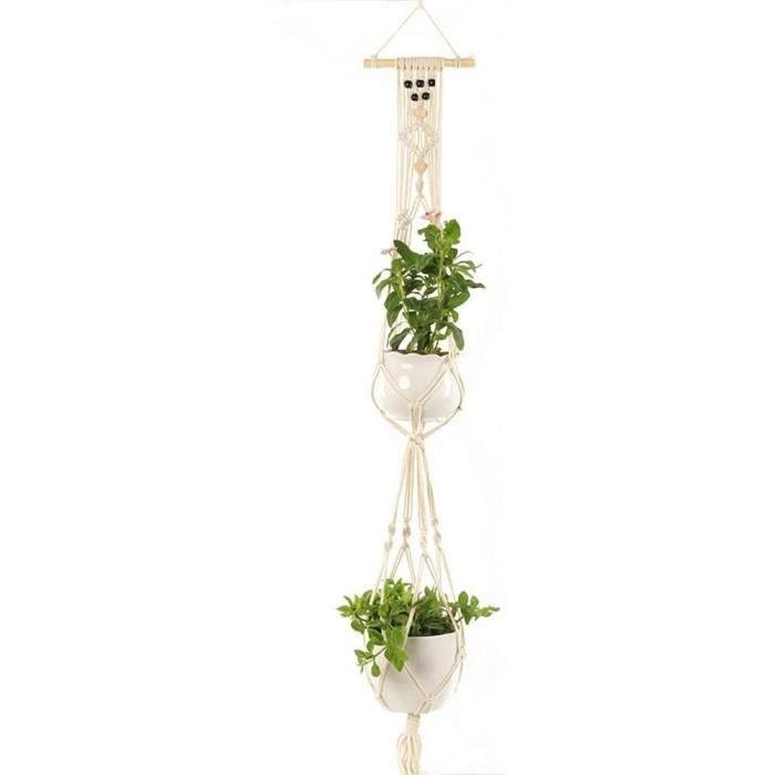 Suspension Plante Plante Suspendue Suspendus Plante…