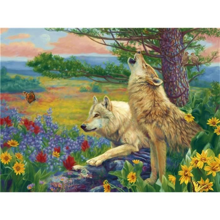 QQYRHN 5D DIY Fantaisie Loup Kits De Peinture Diamant, Complète Forêt