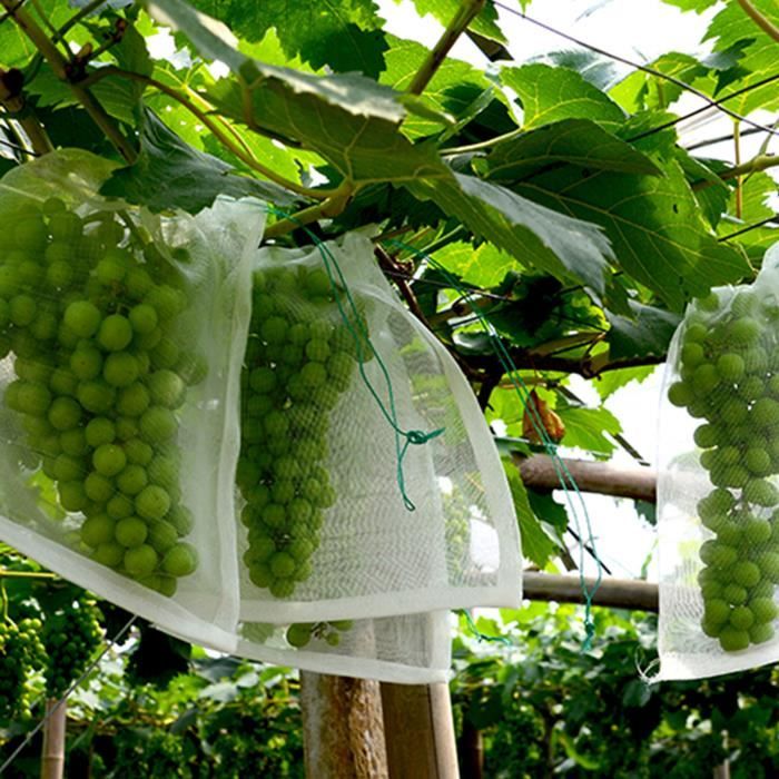 Filet De Course Fruits Sacs en filet de jardin Sacs de Protection des fruits, 50 pièces, sacs ...