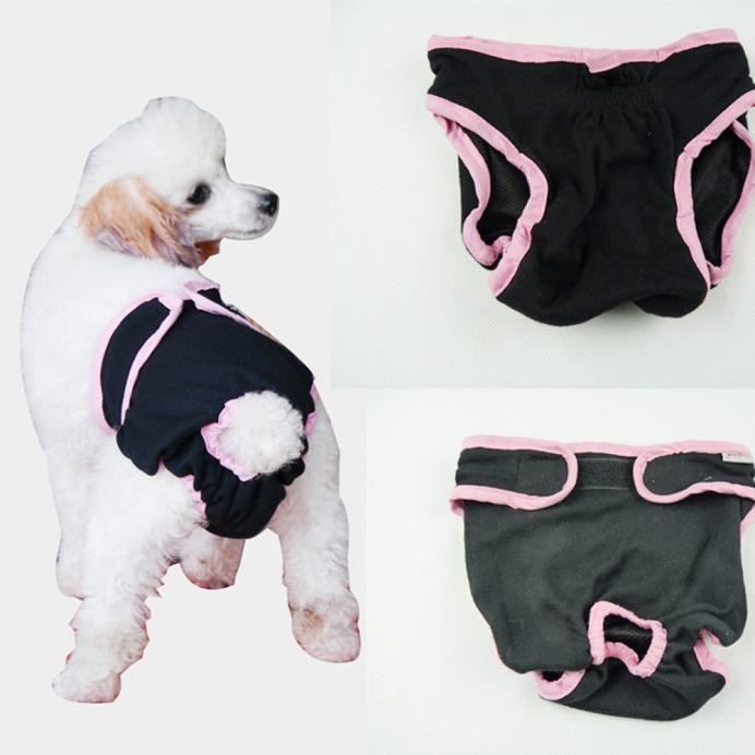 Magasin vetement chien deals
