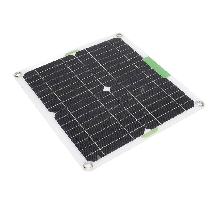 Renogy - Panneau solaire flexible monocristallin 200 W 12 V, cellule photovoltaïque en silicium pour utilisation hors réseau, compatible batteries 12 V, camping-cars