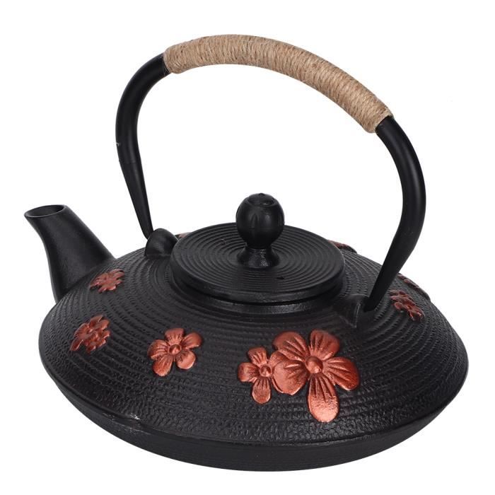EJ.life Teapot, Tea Kettle, Cast Iron Teapot for Home Teahouse Office
