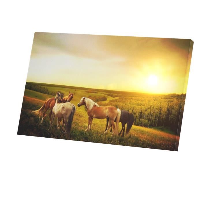 Affiche Déco Vintage - Cowboy Sur Cheval Sauvage, Pour Un Intérieur Style Western