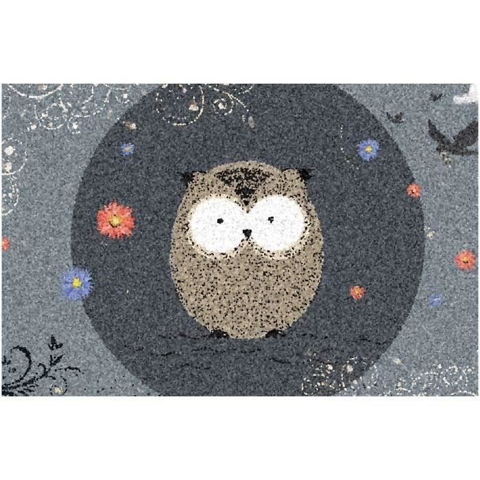 IDMAT Tapis dallas chouette fond 40x60cm intext abrité