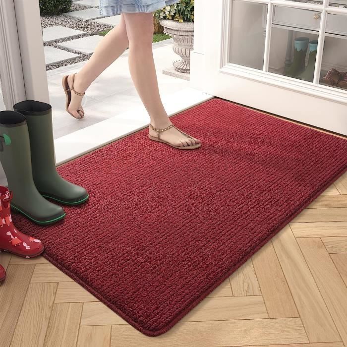 https://www.cdiscount.com/pdt2/5/9/5/1/700x700/tra1690501809595/rw/color-g-tapis-entree-interieur-paillasson-antidera.jpg