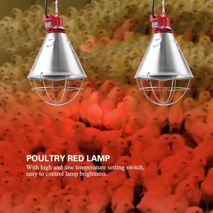 Comparer les prix de VGEBY Lampe chauffante Infrared Red Heat Lamp with Hi-Low Setting Light for Chicks Pig Poultry Infrared Heat animalerie couveuse