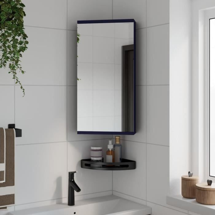 vidaXL Armoire de bain à miroir dangle gris 30x24x60 cm 357978