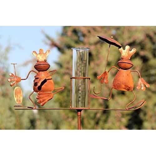 N-A Pluviomètre Transparent Pluviomètre avec Piquet De Terre, en