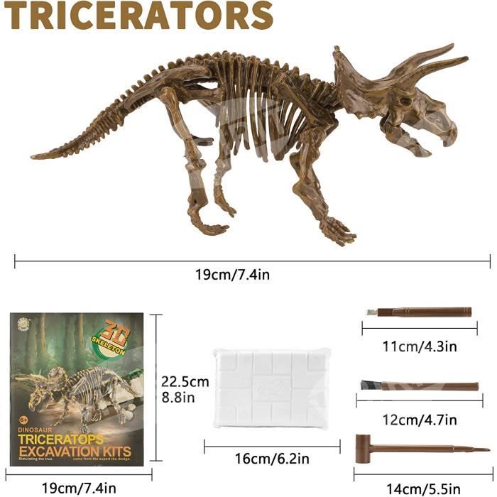 Kit De Fouille Fossiles Dinosaures - 6 Dinosaures Phosphorescents à Déterrer - Maillet, Burin Et Brosse Inclus