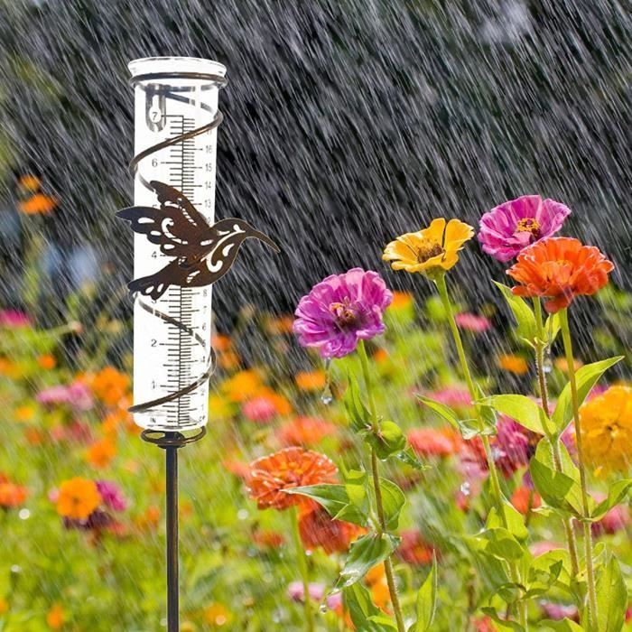 Osmanthus Pluviomètre extérieur en verre - Jauge de pluie colibri à cae  métal décoratif spirale avec piquet décorative jardin p45 - Cdiscount Jardin