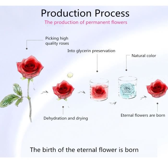 Fleurs Séchées Conservées Sous Dôme En Verre Avec Lumière LED - Cadeau Pour Femme, Anniversaire, Noël