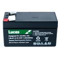 Batterie Plomb étanche Stationnaire Lucas VRLA AGM LSLA1.2-12 12V 1.2Ah-0