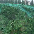 LEU 4*10m Filet de Protection PR vigne Mesh Noir Anti-oiseaux protège légume plant fruit-0