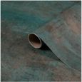 Film adhésif décoratif Oxide Steel pour meuble mur cuisine SdB Papier autocollant d-c-fix 45cmX1,5m-0