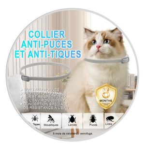Camera pour chat collier - Cdiscount