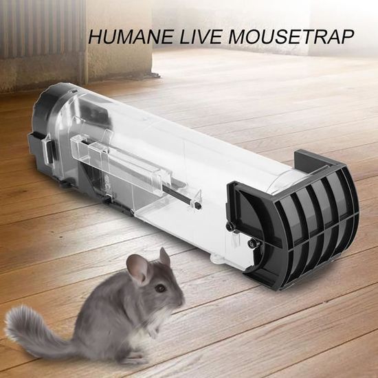 Colle à rat non toxique contre les rats, les souris - Vulcano