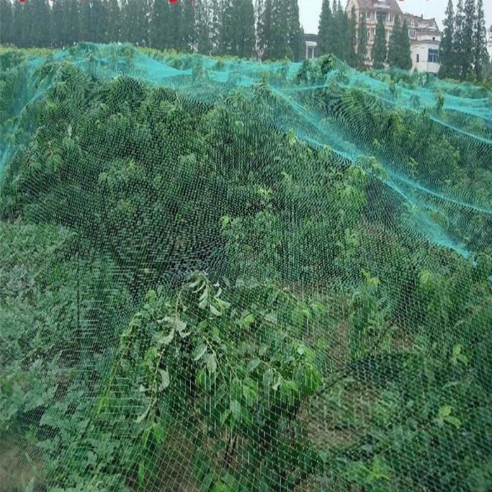 LEU 4*10m Filet de Protection PR vigne Mesh Noir Anti-oiseaux protège légume plant fruit