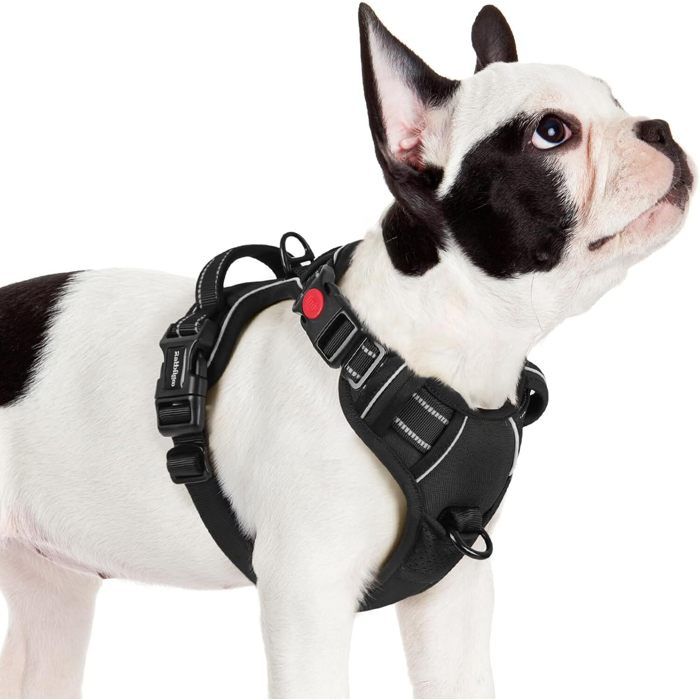 Porte-chien écharpe Réglable Sans Mains | Harnais Ventilé Pour Transport | Senior, Vétérinaire, Randonnée - 8