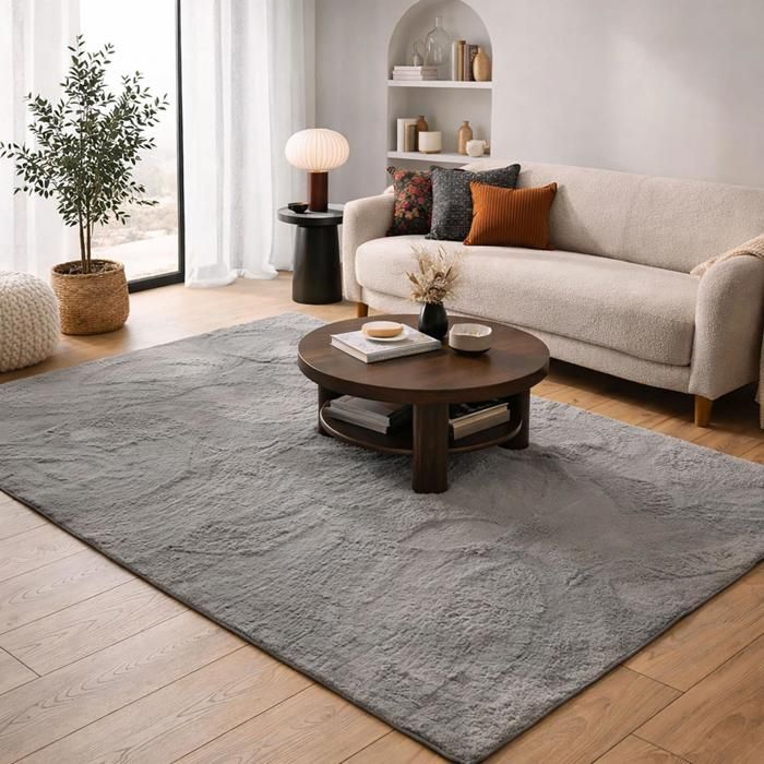 Tapis salon 160 x 230 cm anthracite uni tissé ultra doux et lavable LYN50