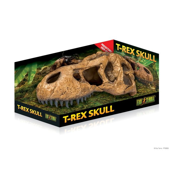 Décor - EXO TERRA - Crane T-rex - Multicolore - Reptile - Lézard Serpent Tortue