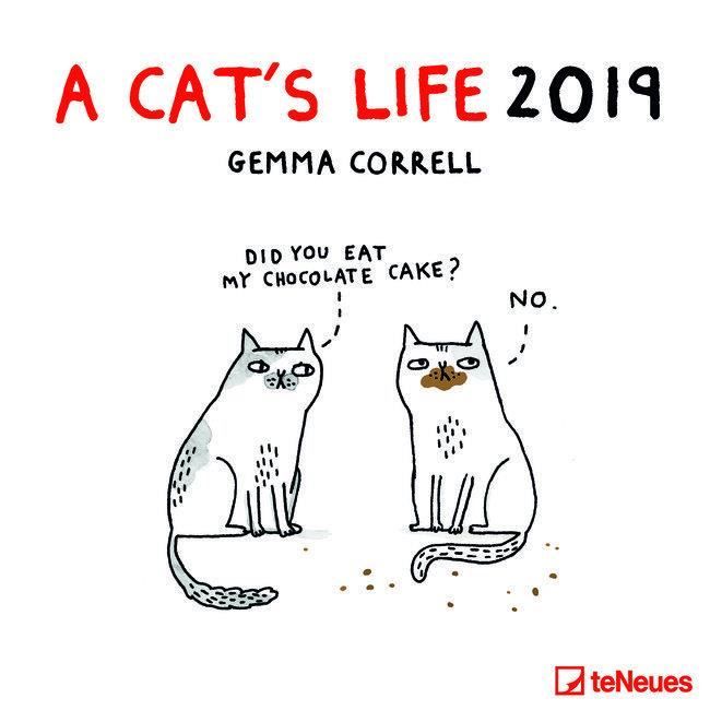 Calendrier 19 Humour Chat A Cat S Life Ten Cdiscount Librairie